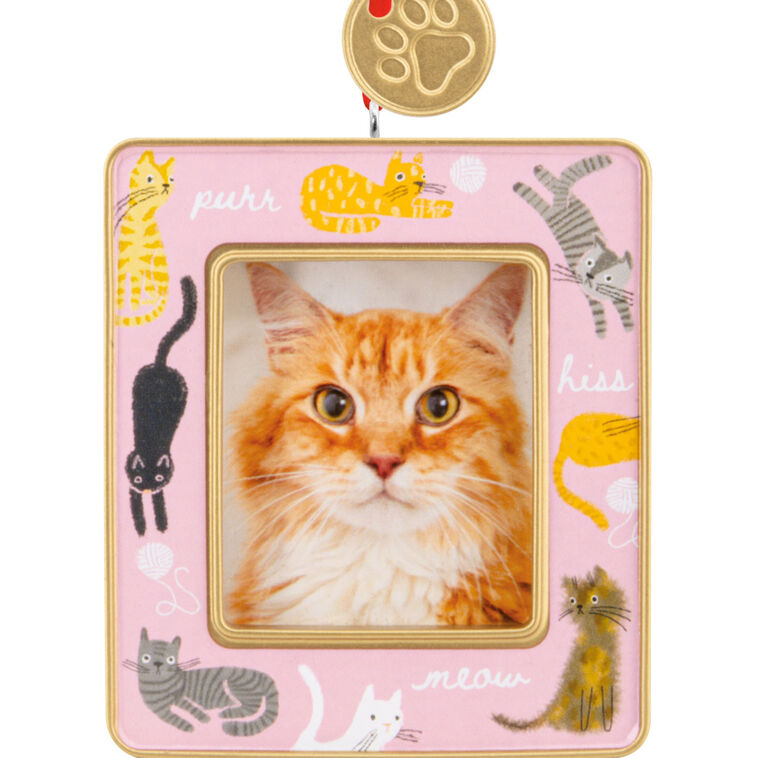  Playful Kitties Photo Frame Hallmark Ornament