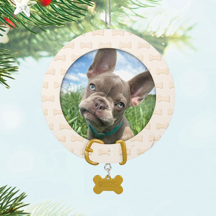 Hallmark Faithful Friend 2025 Personalized Ornament, Custom Photo
