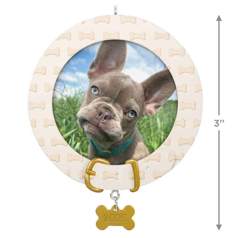 Hallmark Faithful Friend 2025 Personalized Ornament, Custom Photo