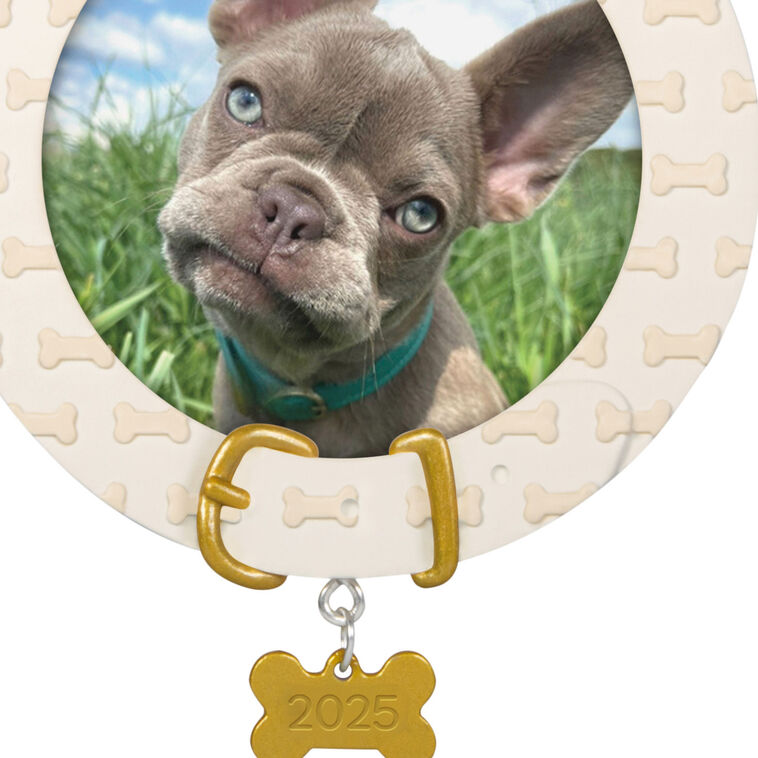 Hallmark Faithful Friend 2025 Personalized Ornament, Custom Photo