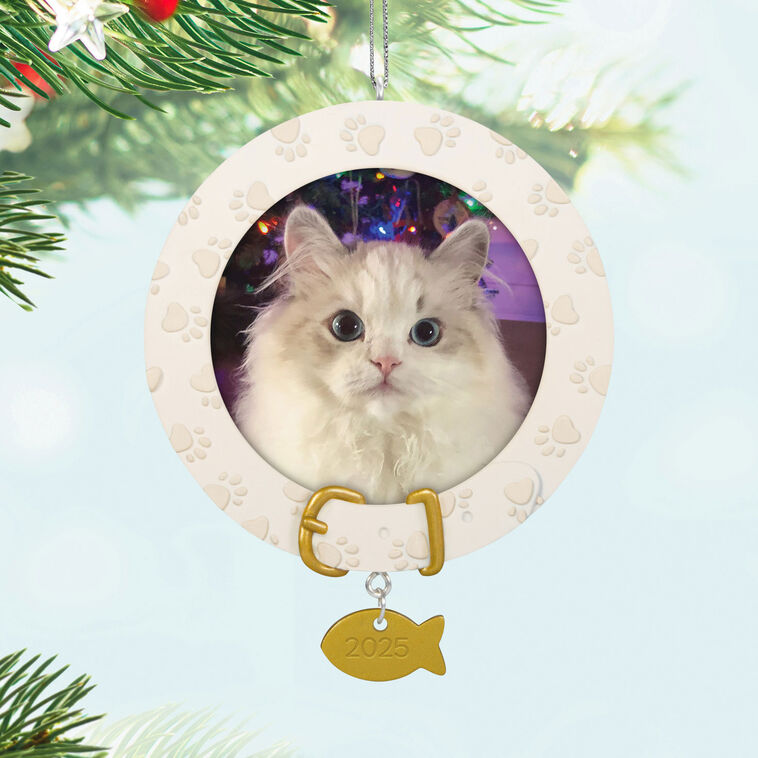 Hallmark Furry Friend 2025 Personalized Ornament, Custom Photo