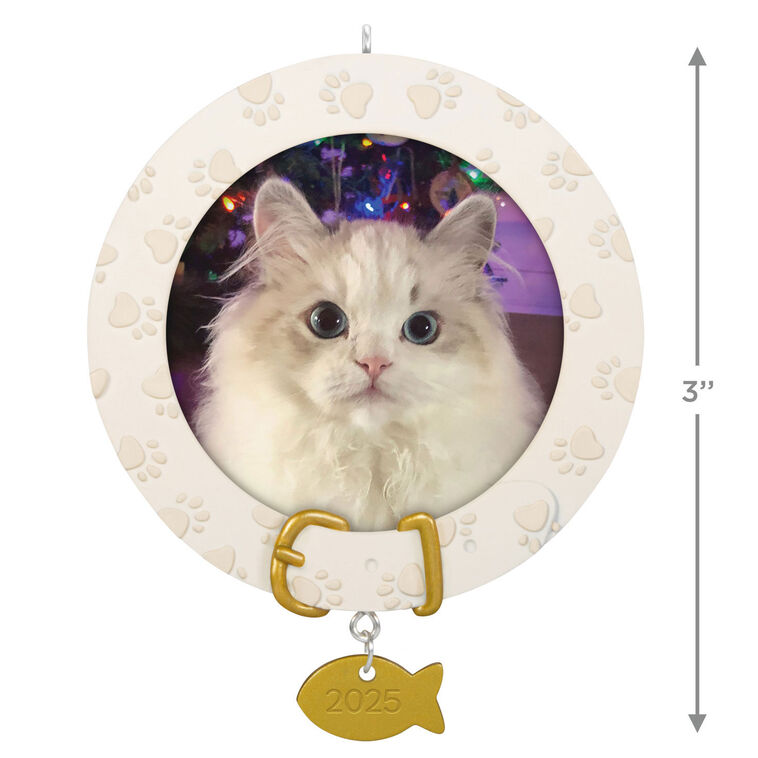 Hallmark Furry Friend 2025 Personalized Ornament, Custom Photo