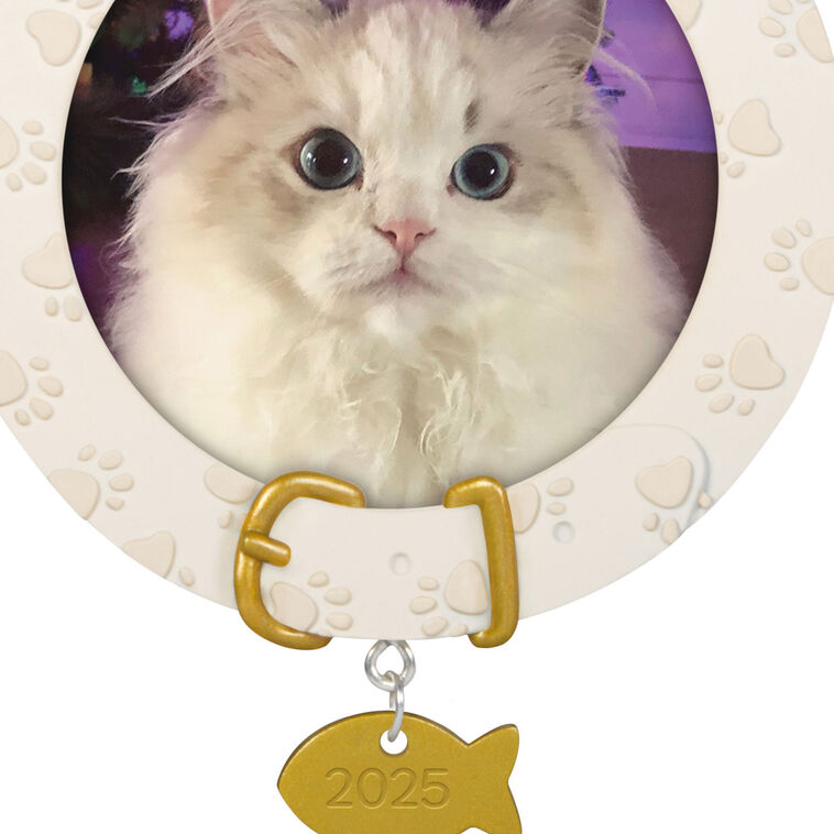 Hallmark Furry Friend 2025 Personalized Ornament, Custom Photo