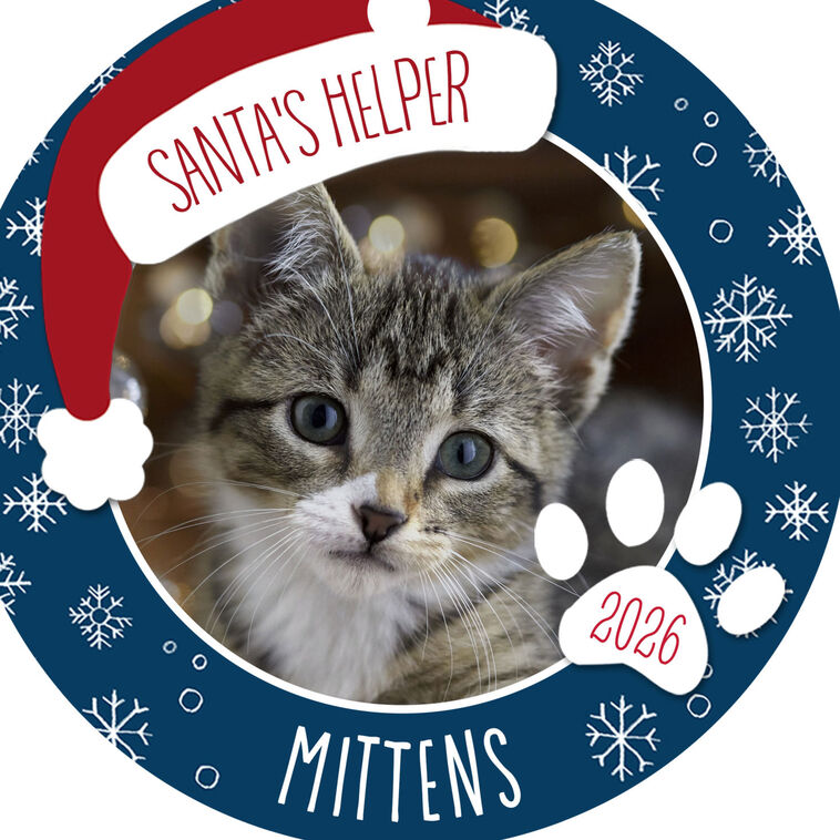 Hallmark Holiday Pet Round Metal Personalized Ornament, Custom Photo And Text
