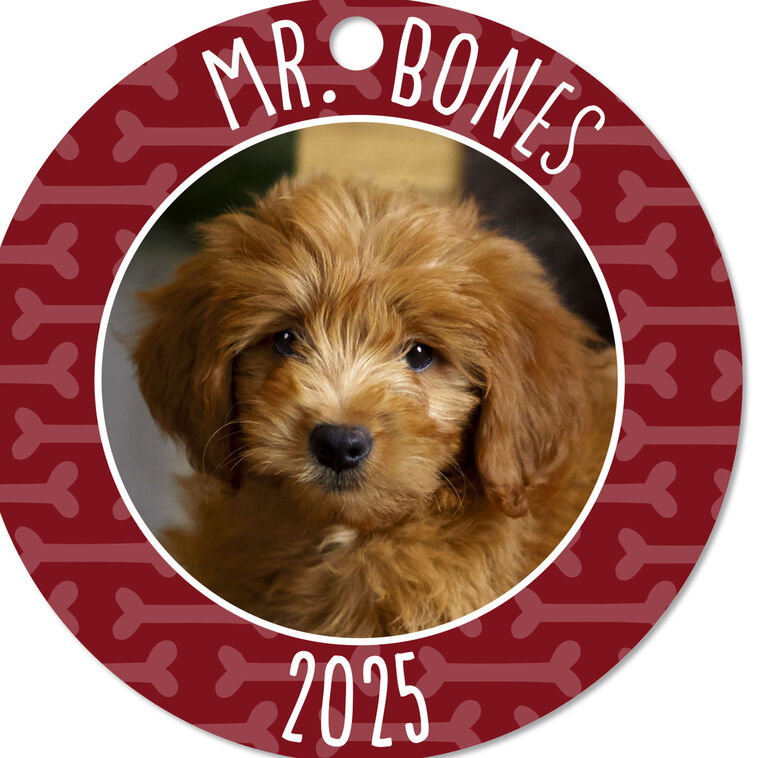 Hallmark Pet Round Metal Personalized Ornament, Custom Photo And Text