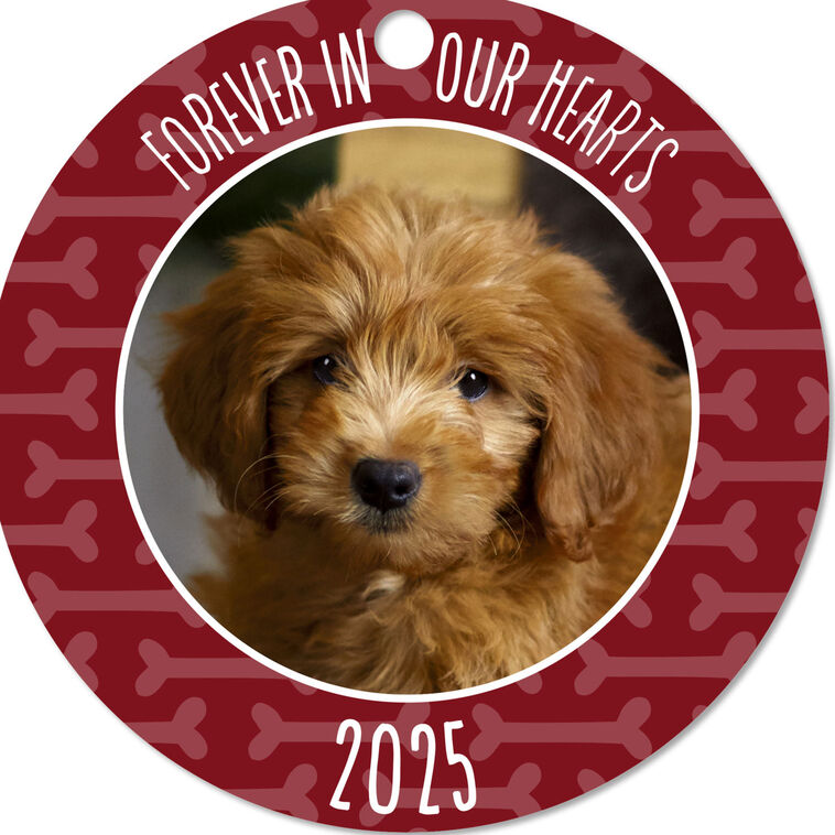 Hallmark Pet Memorial Round Metal Personalized Ornament, Custom Photo And Text