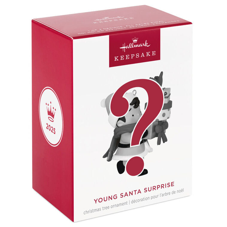 Hallmark Young Santa Mystery Ornament